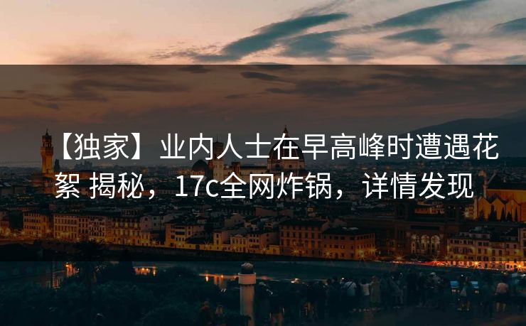 【独家】业内人士在早高峰时遭遇花絮 揭秘，17c全网炸锅，详情发现