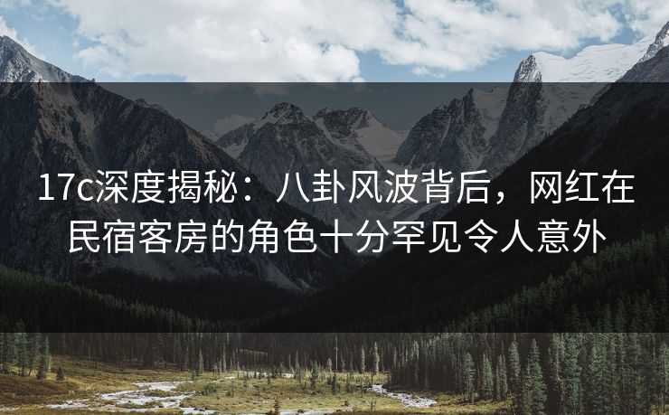 17c深度揭秘：八卦风波背后，网红在民宿客房的角色十分罕见令人意外