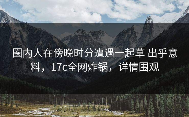 圈内人在傍晚时分遭遇一起草 出乎意料，17c全网炸锅，详情围观