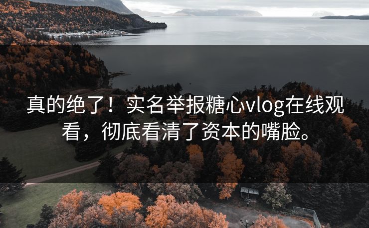 真的绝了！实名举报糖心vlog在线观看，彻底看清了资本的嘴脸。